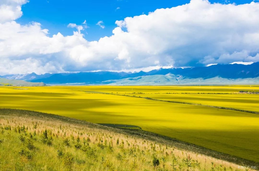 青海阳光下的温馨日常